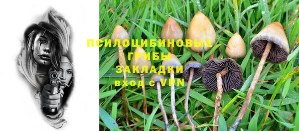 гашик Арсеньев