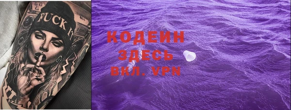 гашик Арсеньев