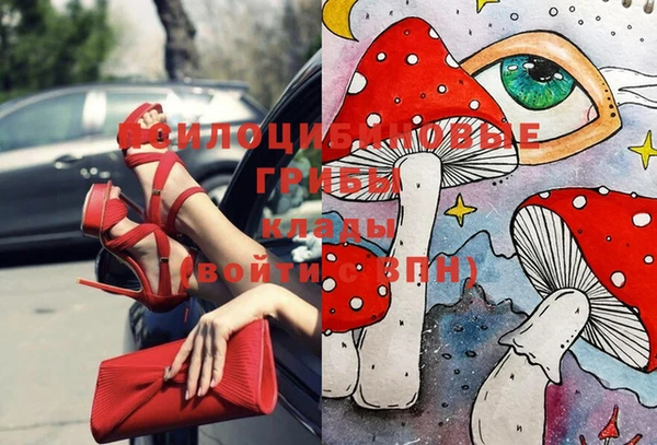 гашик Арсеньев