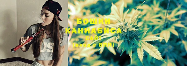 apvp Аркадак